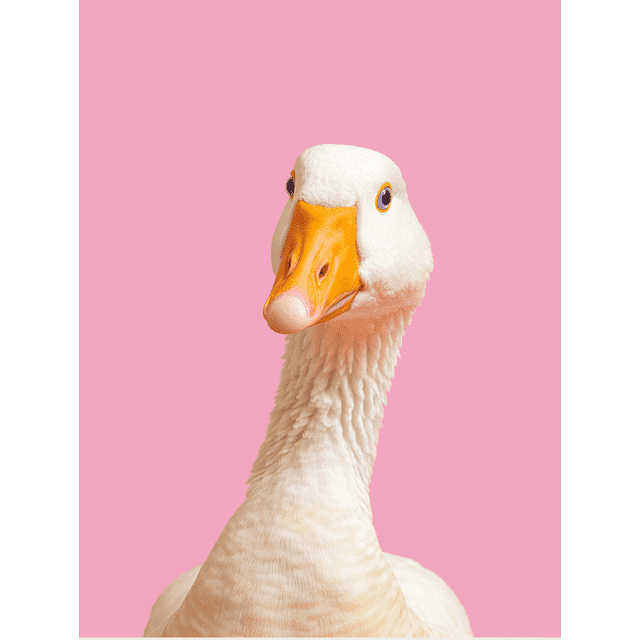 Whimsical Goose Portrait Canvas Wall Art 15.75x11.81 Inches