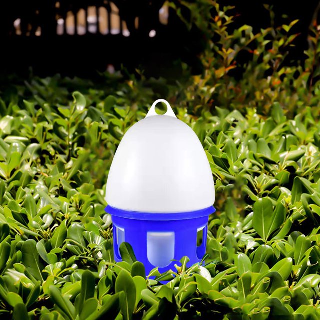 Arroseur Automatique Conteneur pour Oiseaux de Compagnie Arroseur pour Jeunes Bourgeons Ferme 4 6 8 Litres