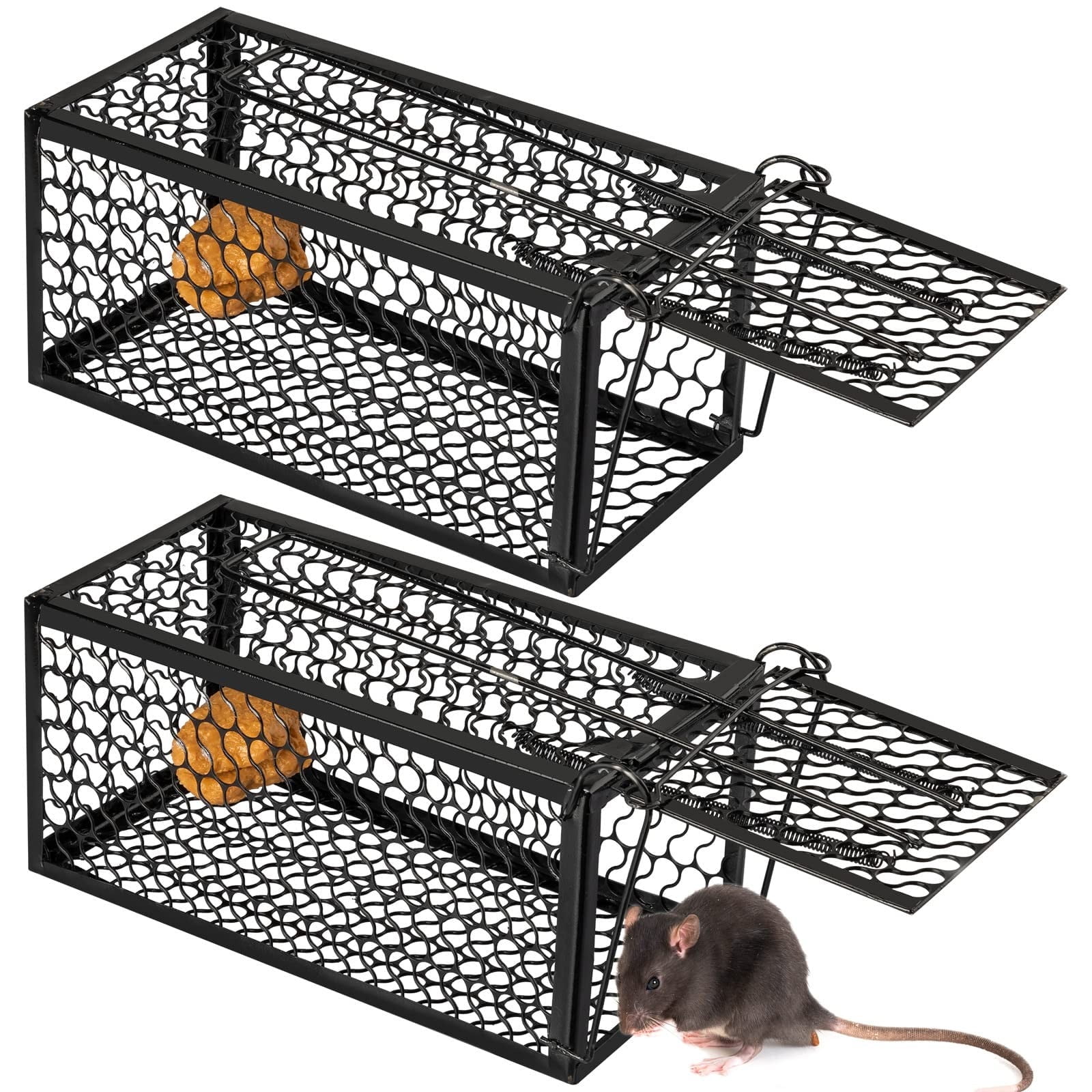 Humane Catch and Release Live Mouse Trap, Cat Trap, Raccoon Trap, for Armadillos, Beavers, Bobcats, Small Dogs, Cats, Foxes, Groundhogs, Nutria, Opossums, Raccoons, and Similar-Sized