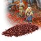 thumbnail image 1 of Diseño de modelo estático de hoja en miniatura, mesa de arena, adornos de Diorama, Material de construcción, accesorios de escena de paisaje, decoración de bonsái de parque de hojas marrón Macarena hojas de micro paisaje, 1 of 8