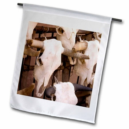 3dRose New Mexico, Santa Fe, Plaza, Cattle Skulls on Display - US32 RCA0064 - Rob Casey - Garden Flag, 12 by 18-inch