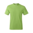 thumbnail image 1 of Hanes SIN ETIQUETAS&reg; Camiseta, 4XL, Lima hanes 5250, 1 of 1