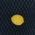 thumbnail image 2 of Bird Netting Garden Net Reusable Anti Bird Mesh Netting Protect Plants Fruits Trees;Bird Netting Garden Net Reusable Anti Bird Mesh Netting Protect Plants Fruits,1.8*7.6M, 2 of 6