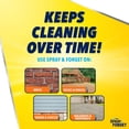thumbnail image 4 of Outdoor Cleaner Spray & Forget Ready-to-Use 3.8L, 4 of 6