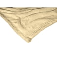 thumbnail image 3 of Warner Bros Game Of Thrones House Lannister Kids Silk Touch Throw Blanket, 3 of 5