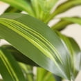 thumbnail image 3 of DR.Planzen Artificial Dracaena Tree, 5FT Tall Fake Plants Artificial Dracaena Tree for Indoor, Fake Trees for Office Home Living Room Floor Patio Greening Porch Decor, Set of 1, 3 of 8