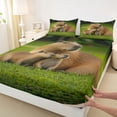 thumbnail image 4 of Erosebridal Cute Capybara Family Kid Bed Sheets, Green Brown King Sheets, 4-Piece, 4 of 5