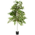 thumbnail image 2 of Nearly Natural 5489 Arbre Artificiel de Bouleau de 6 Pi, 2 of 4