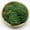 Blackish Green, variant on 10g Preserved Moss Immortal Dry Moss, Artificial Moss for Potted Plants Garden Decoration, Wedding Party Plant Crafts Floral Background Decor
