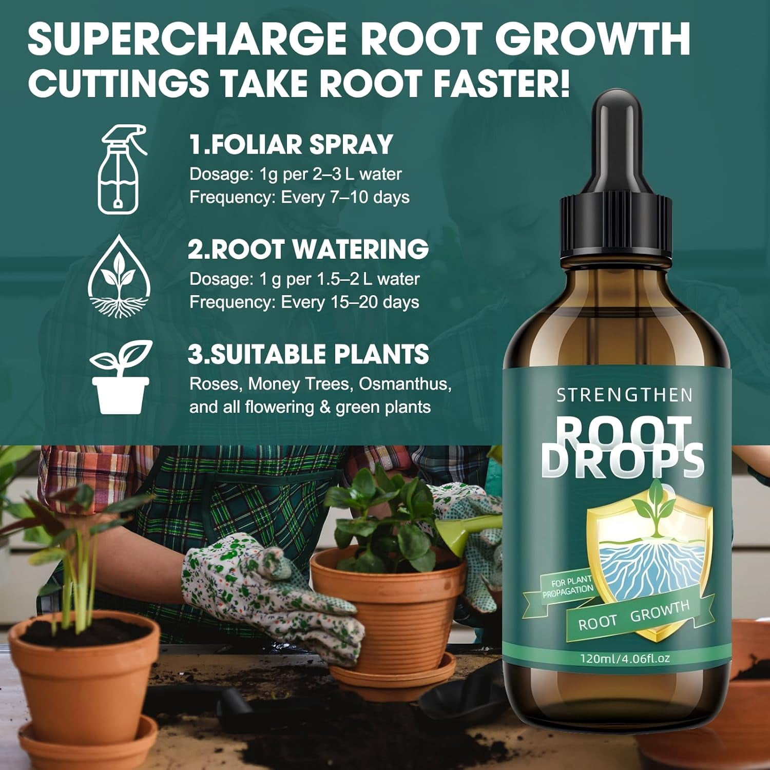 Liquid Rooting Hormone for Cuttings – Fast Root Growth Solution for Water & Soil | Plant Propagation Drops for Houseplants, Pothos & Monstera (4.06 oz)