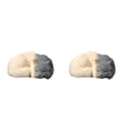 thumbnail image 1 of Bewildely Amplia aplicación Gatos durmientes realistas para varios escenarios Emulación linda Gato respirante durmiente blanco blanco 2Conjunto, 1 of 6