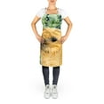 thumbnail image 2 of Carolines Treasures SS8801APRON Border Terrier Apron Large multicolor, 2 of 4