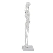 1PCS 45cm Human Skeleton Anatomical Model Medical Anatomical Teaching Tool With Base,White