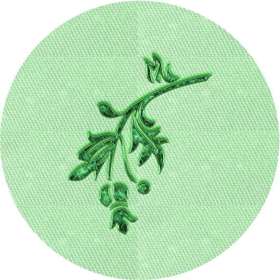 Ahgly Company Indoor Round Patterned Mint Green Area Rugs, 4' Round