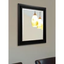 Rayne Stately Black and Aged Silver Wall Mirror - (Small Medium)