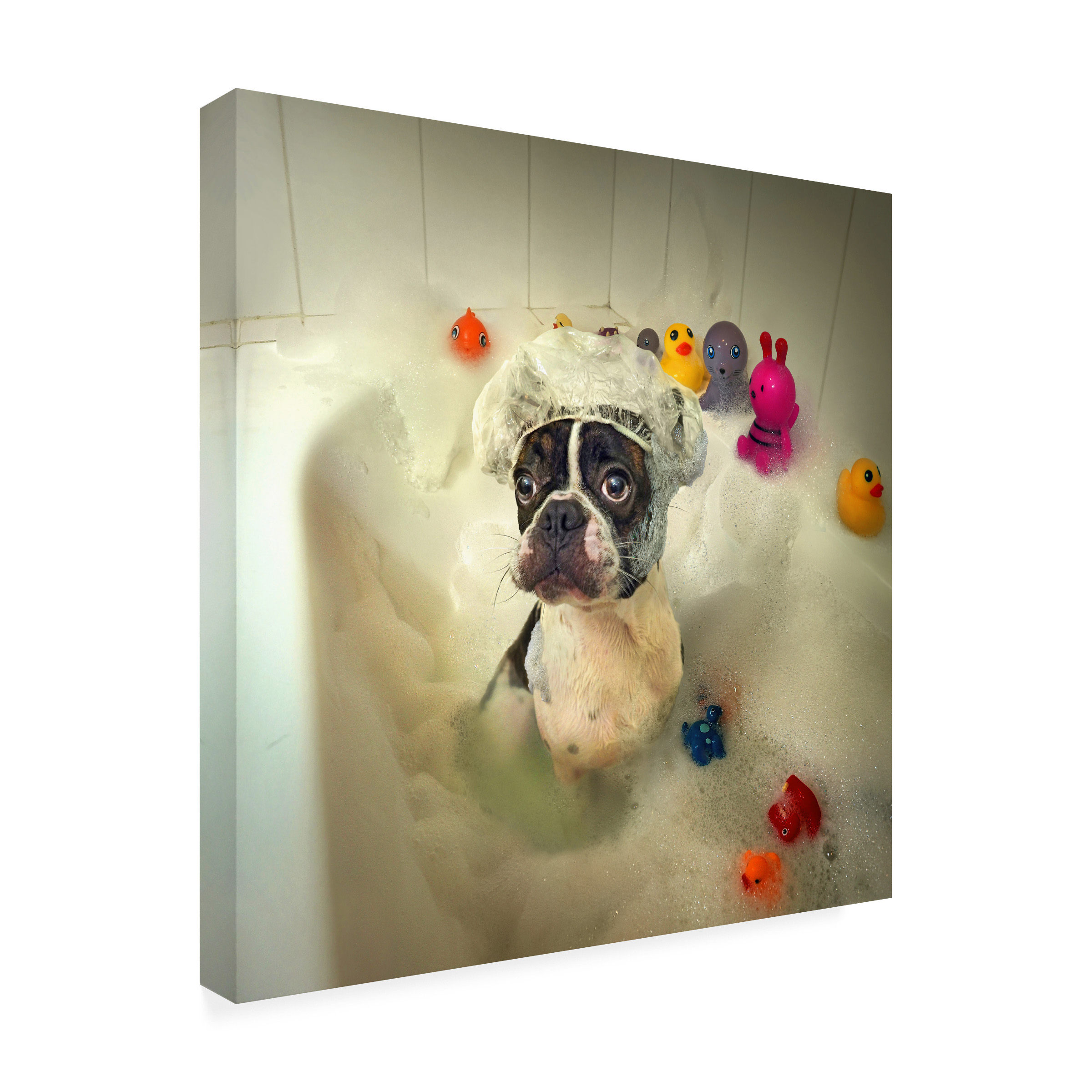 Ddiarte 'The Bath' Canvas Art