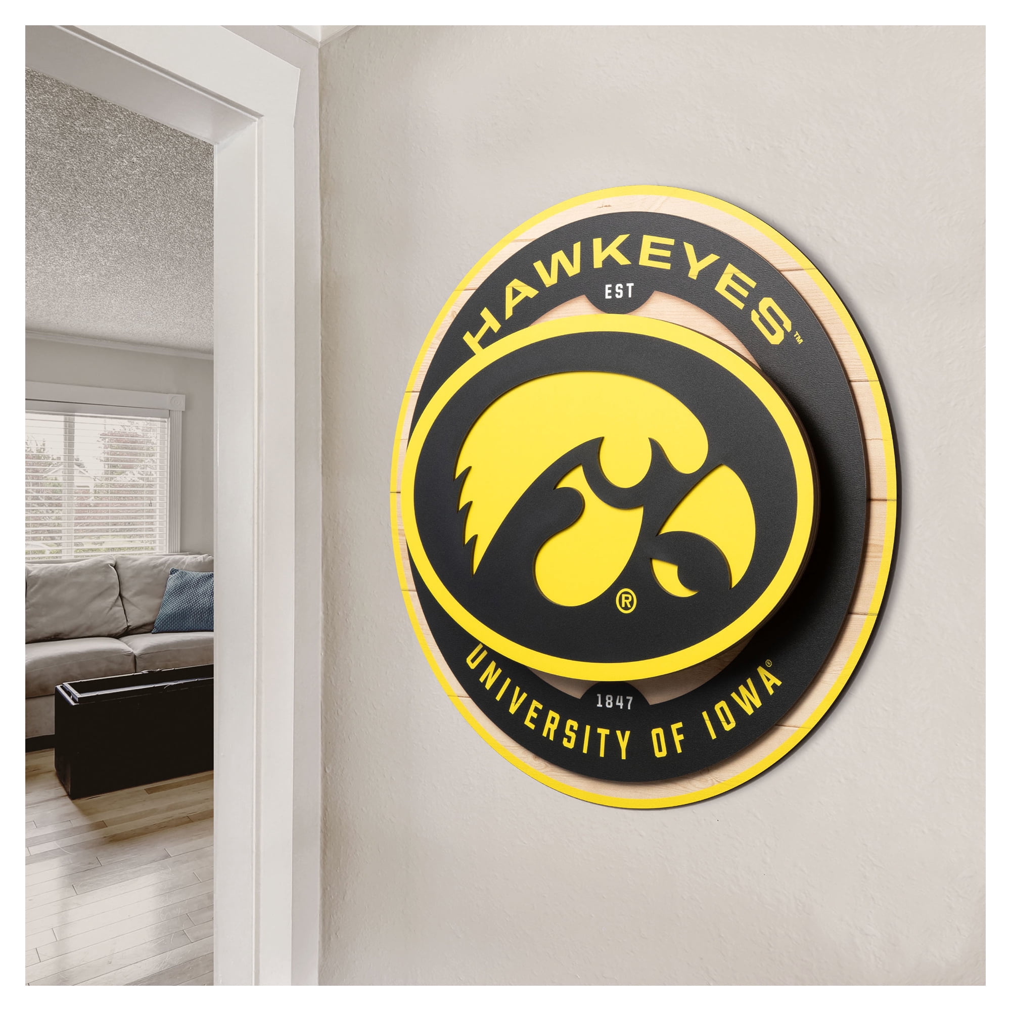 IDNA Iowa Hawkeyes 15" x 15" 3DX Logo Circle Backer Wall Art