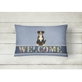 thumbnail image 2 of Carolines Treasures BB5619PW1216 Entlebucher Welcome Canvas Fabric Decorative Pillow, 2 of 3