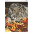 thumbnail image 4 of Ceaco Wolf's Contemplation 500-Piece Interlocking Jigsaw Puzzle for Adults Ages 14+, 4 of 5