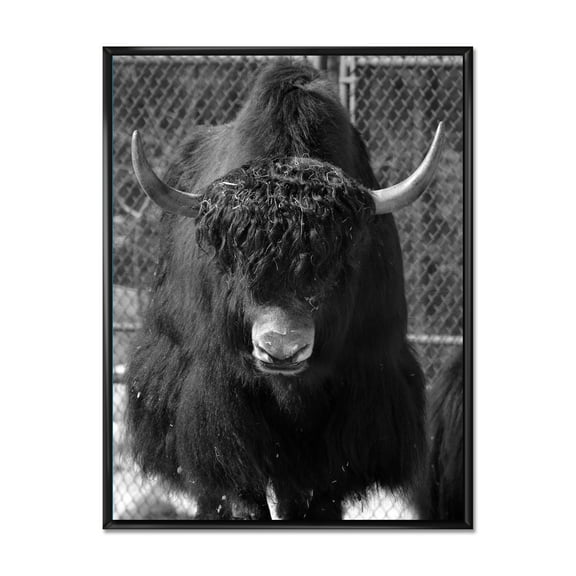 Portrait Of Monochrome Wild Bull In Winter Forest II 12 in x 20 in Framed Photography Canvas Art Print, by Designart