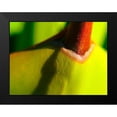 thumbnail image 2 of Grayscale 24x19 Black Modern Framed Museum Art Print Titled - Cactus Spikes IV, 2 of 5