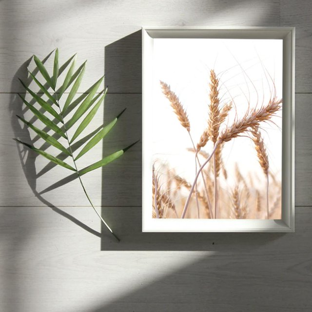 Cartel de naturaleza Perfecl Arte de la pared de lona 50x75 CM