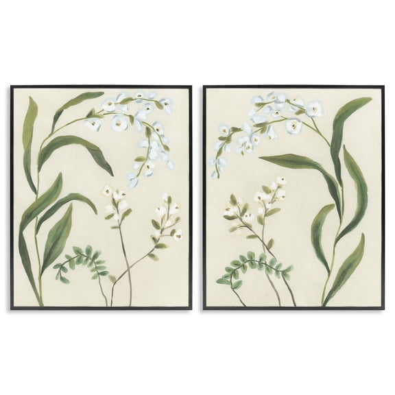 Stupell Industries Vintage Snowdrop Stems 2 Piece Black Framed Giclee Art Set, design by June Erica Vess