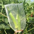 thumbnail image 3 of 100 bolsas de protección para frutas y plantas de jardín, bolsa de red con cordón, insectos, mosquitos, plagas de insectos, pájaros, bolsas de protección para jardín de 10 cm x 15 cm, 3 of 5