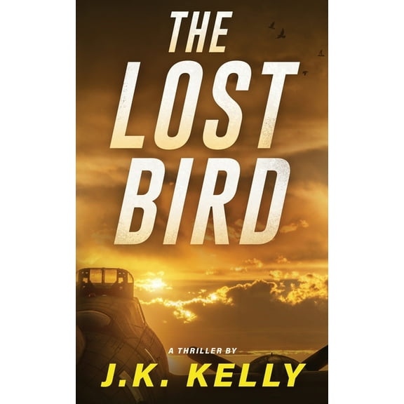 The Lost Bird, (Paperback)