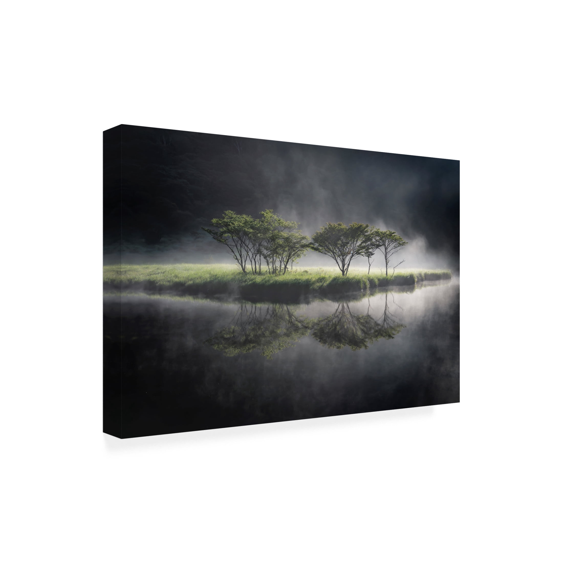 Trademark Fine Art Akira Nagase Illuminate Canvas Wall Art