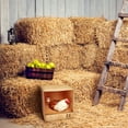 thumbnail image 4 of Rugged Range Products Studio Chicken Coop Nesting Box for 1 to 2 Hens, 4 of 8