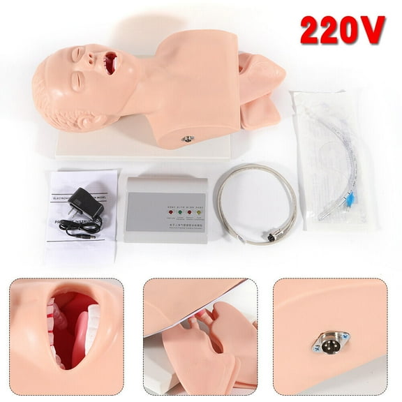 Airway Management Trainer Study Adult Oral Intubation Manikin Teaching Model New