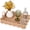 Nude Color, variant on Scalloped Edge Rectangle Wicker Serving Tray, Coffee Table Tray, Serving Trays with Handles, Decorative Tray for Entryway, Coffee Table, Woven Tray for Serving, 15 ¾"×11 ½"×2 ¼"