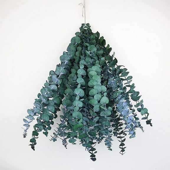 Namzi -a 10 dry eucalyptus stems 16-24 inches genuine eucalyptus shower suspension 100% made of fresh eucalyptus leaves, wedding, home, farmhouse decoration DIY spring decoration, blue