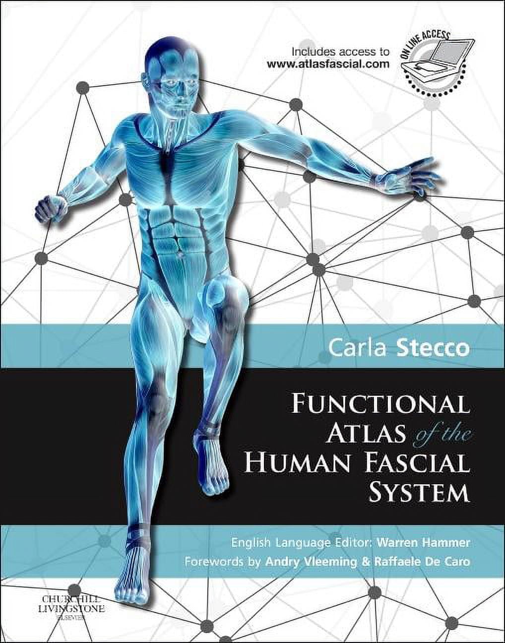 Fantastic Price Bourgery. Atlas of Human Anatomy and Surgery