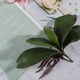 thumbnail image 5 of Hojas de OrquíDeas Phalaenopsis Plantas de Contacto de LáTex de RaíCes Artificiales de Aspecto Real Arreglo de Hojas de Imitación, 12 Piezas, 5 of 5