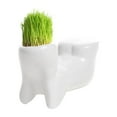 thumbnail image 3 of SUSHANG Ceramic Hair Doll Planter Mini Bonsai Tree Pot Cute White Head Flower Pot with Tray for Indoor Outdoor Garden Decor Perfect for Growing Flowers Vegetables Fun Patio Gardening Gift, 3 of 5