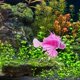 thumbnail image 4 of Artificial Lionfish Fish Tank Decoration Luminous Fish Tank Fish Silicone Fish Statue Fish Decoration Aquarium Decoration Fish Tank Decor, 4 of 4