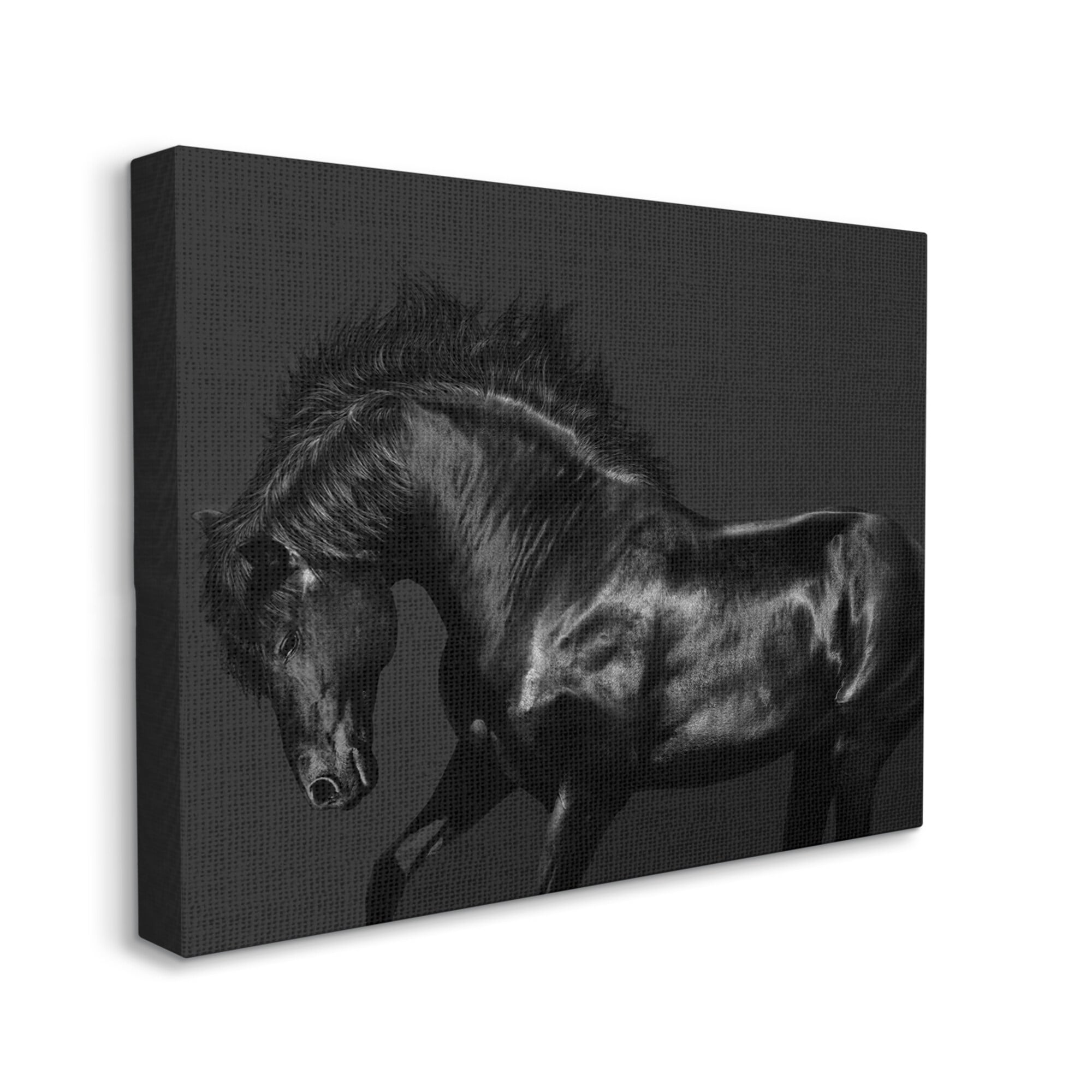 Stupell Industries Modern Black Horse Photography Wild Stallion Monochromatic, 48 x 36,Design by Samantha Carter