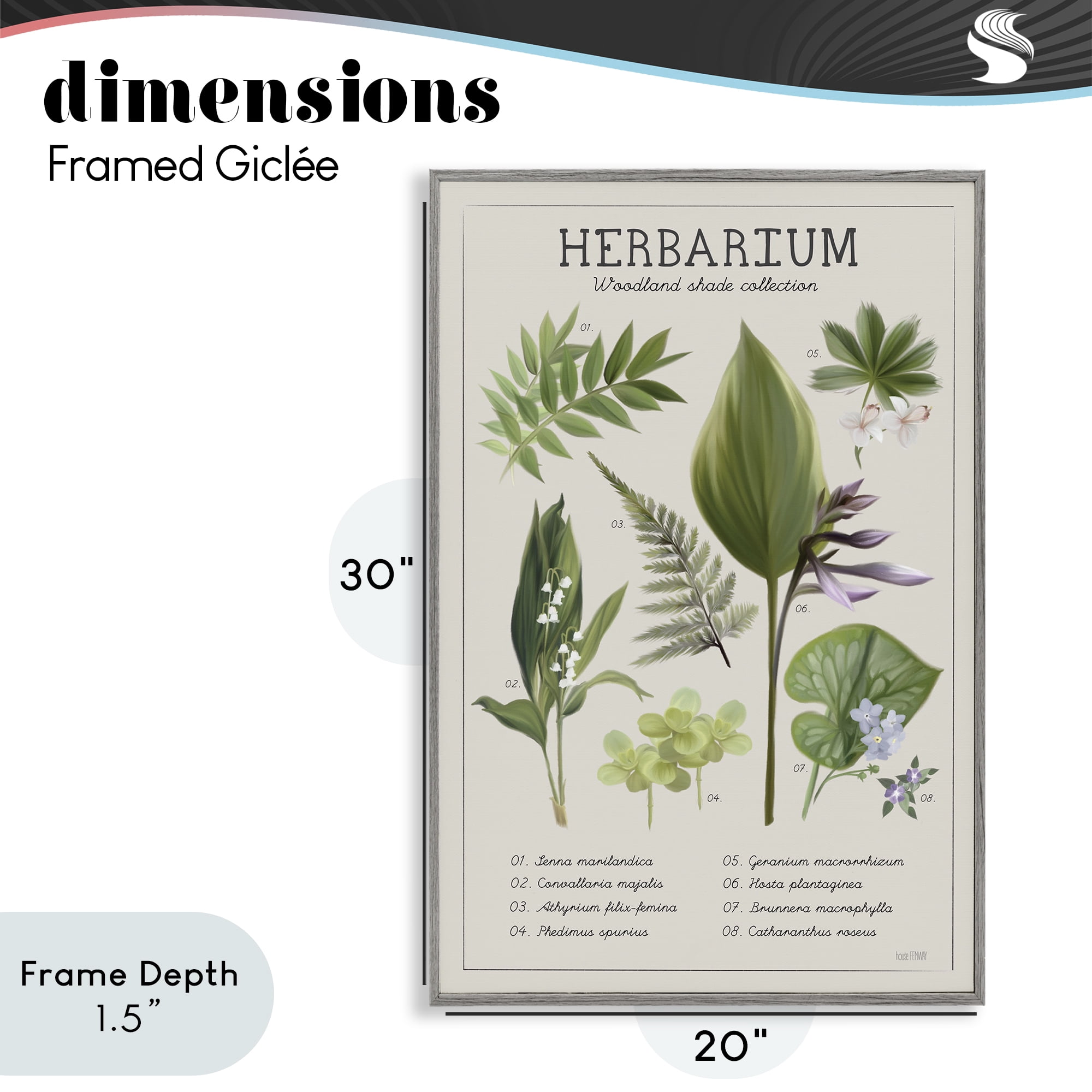 Stupell Industries Herbarium Woodland Shade Collection Gray Framed Giclee Art, design by House Fenway