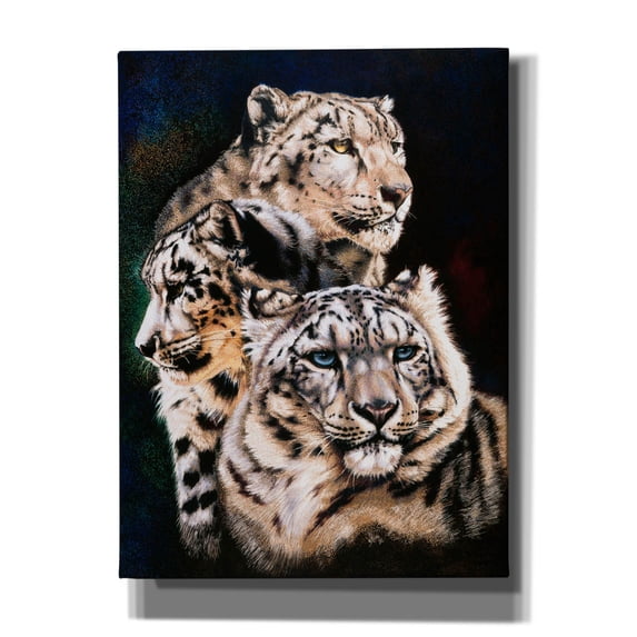 Epic Graffiti 'The 3 Graces' by Barbara Keith, Canvas Wall Art, 40"x54"