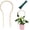 Natural, variant on Indoor Plant Trellis for Climbing Plants 16in, 6 Pack Arch Bamboo Trellis for Potted Plants