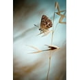 thumbnail image 2 of Bravin, Fabien 23x32 White Modern Wood Framed Museum Art Print Titled - Dream in blue, 2 of 4