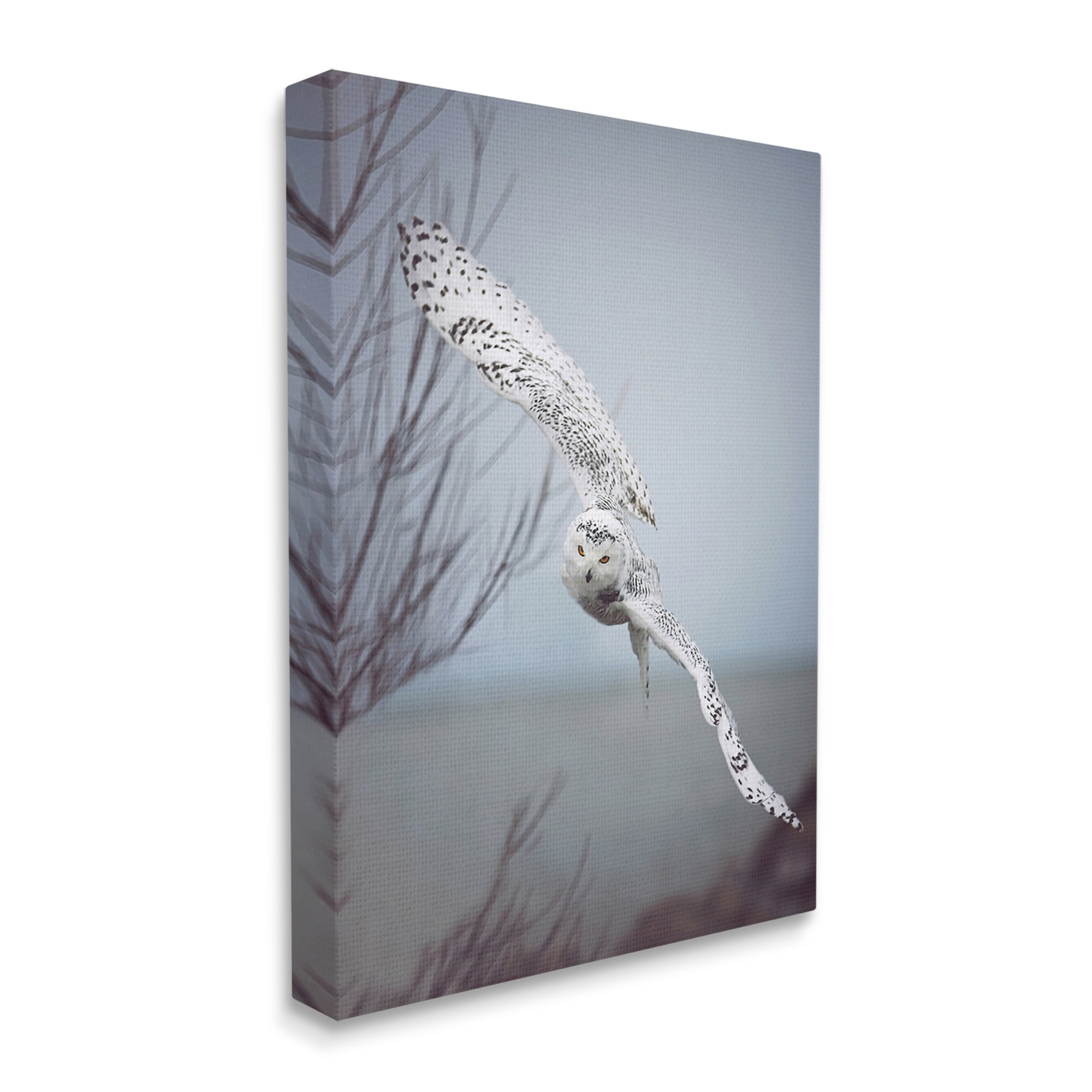 Stupell Industries Majestic Snowy Owl Flying Wingspan Wildlife Photography Photograph Gallery Wrapped Canvas Print Wall Art, Design by Carrie Ann Grippo-Pike