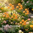 thumbnail image 2 of Rirool Solar Orange Hydrangea Garden Stake Lights, 3-Head Warm White LED Outdoor Waterproof Flower Pathway Lights for Yard Lawn Patio, Dusk-to-Dawn Decorative Landscape Lights, 2 Pack, 2 of 8