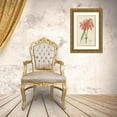 thumbnail image 3 of Illtyd Buller Pole-Evans 18x24 Gold Ornate Framed and Double Matted Museum Art Print Titled - Cyrtanthus Sanguineus (1921), 3 of 4