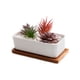 thumbnail image 3 of Maceta Rectangular con basae de Madera, 3 of 9