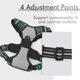 thumbnail image 3 of Cinturón de Seguridad para perros XL chaleco ajustable antitracción gris, adecuado para perros grandes, gancho de amarre delantero, para viajes en coche, empleados estadounidenses, collares de borde Zefei Wu 9024735027690, 3 of 5