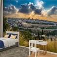 thumbnail image 2 of Peel and Stick Wallpaper Waterproof Amazing sunset Jerusalem view Kidron Valley from southern Wall Mural Decor Self Adhesive and Removable 100in x 144in, 2 of 8