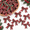 Christmas Gingham B-Christmas, variant on Christmas Gingham B 100 Pre-Tied Plaid Ribbon Bows with Twist Ties